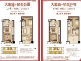 大象城国际商贸中心_3室2厅2卫 建面53平米