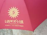 网络房交会_1室1厅1卫 建面1平米