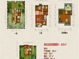 中铁国际生态城_小独栋I（中入）431㎡优化户型图2 建面0平米