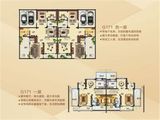 碧桂园城市花园_5室2厅4卫 建面440平米