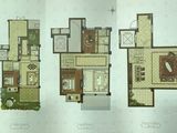 碧桂园梅公馆_3室2厅2卫 建面195平米