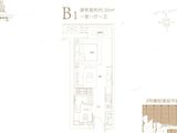 宝能郑州中心_1室1厅1卫 建面50平米