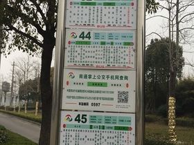 纽约时代