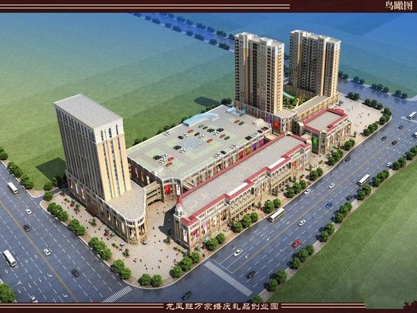 龙凤喜万家
