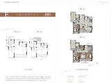 奥园大发宸央_5室2厅5卫 建面201平米