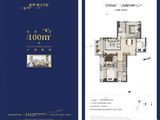 龙湖春江天玺_3室2厅2卫 建面100平米