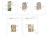 祥生福田清水湾颐养小镇_5室2厅4卫 建面167平米