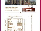 金州福佳新天地购物广场_2室1厅1卫 建面87平米