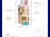 中电海湾国际社区_2室1厅1卫 建面59平米