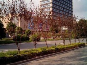 爱斯大厦