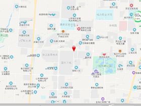宝丽盛世芳华
