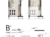 盛世滨江_B1 建面46平米