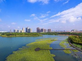 暨阳湖皇冠