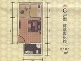 湘江学府_1室1厅1卫 建面37平米