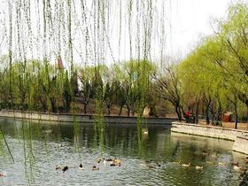 启迪上府