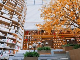 上坤云栖时光