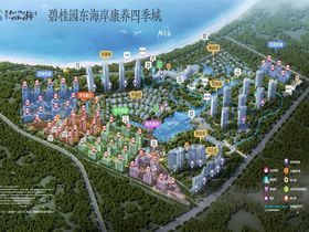 碧桂园东海岸四期