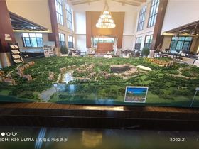 阳光雨林